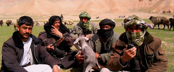 Fighting For Bin Laden